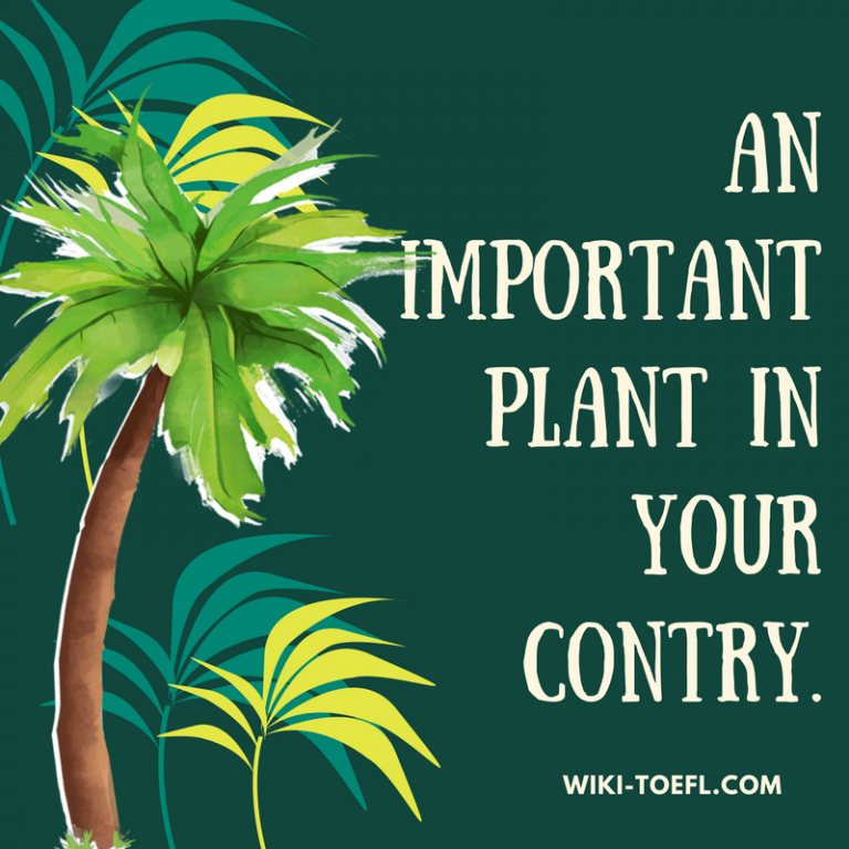 Coconut plan, important plant in your country