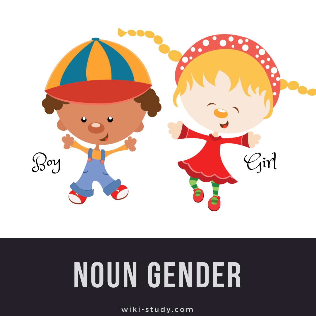 Noun Gender - TOEFL Vocab & Grammar