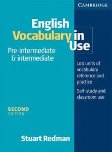 English Vocabulary In Use – Pre-intermidiate & Intermidiate