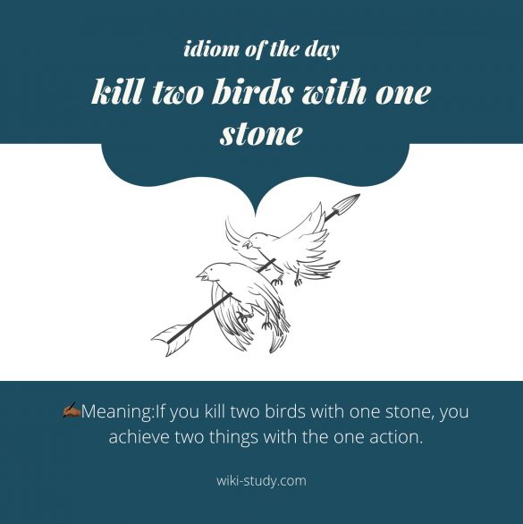 Idiom of the day kill two birds with one stone TV Acres