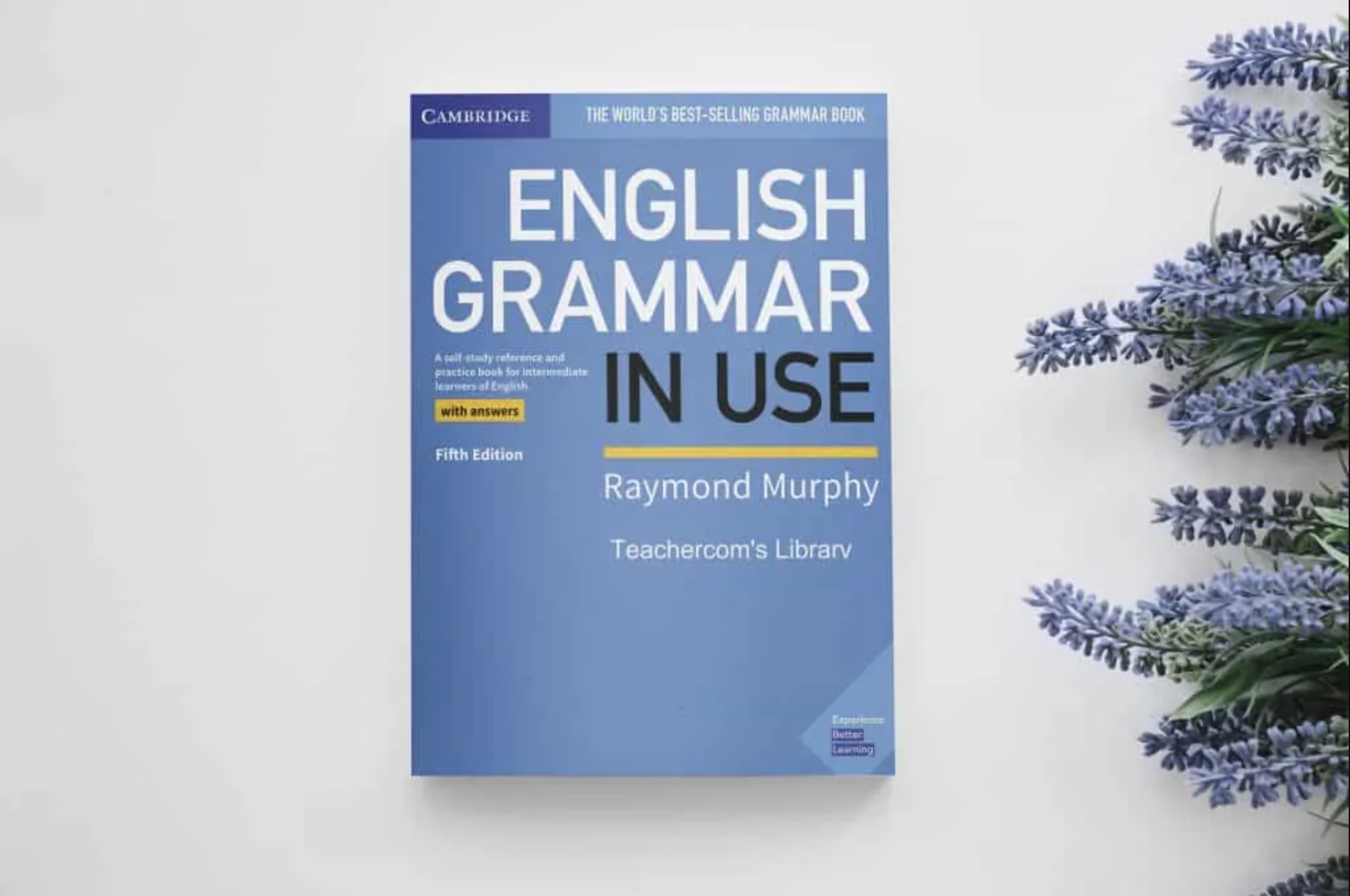 English Grammar In Use 5th Edition