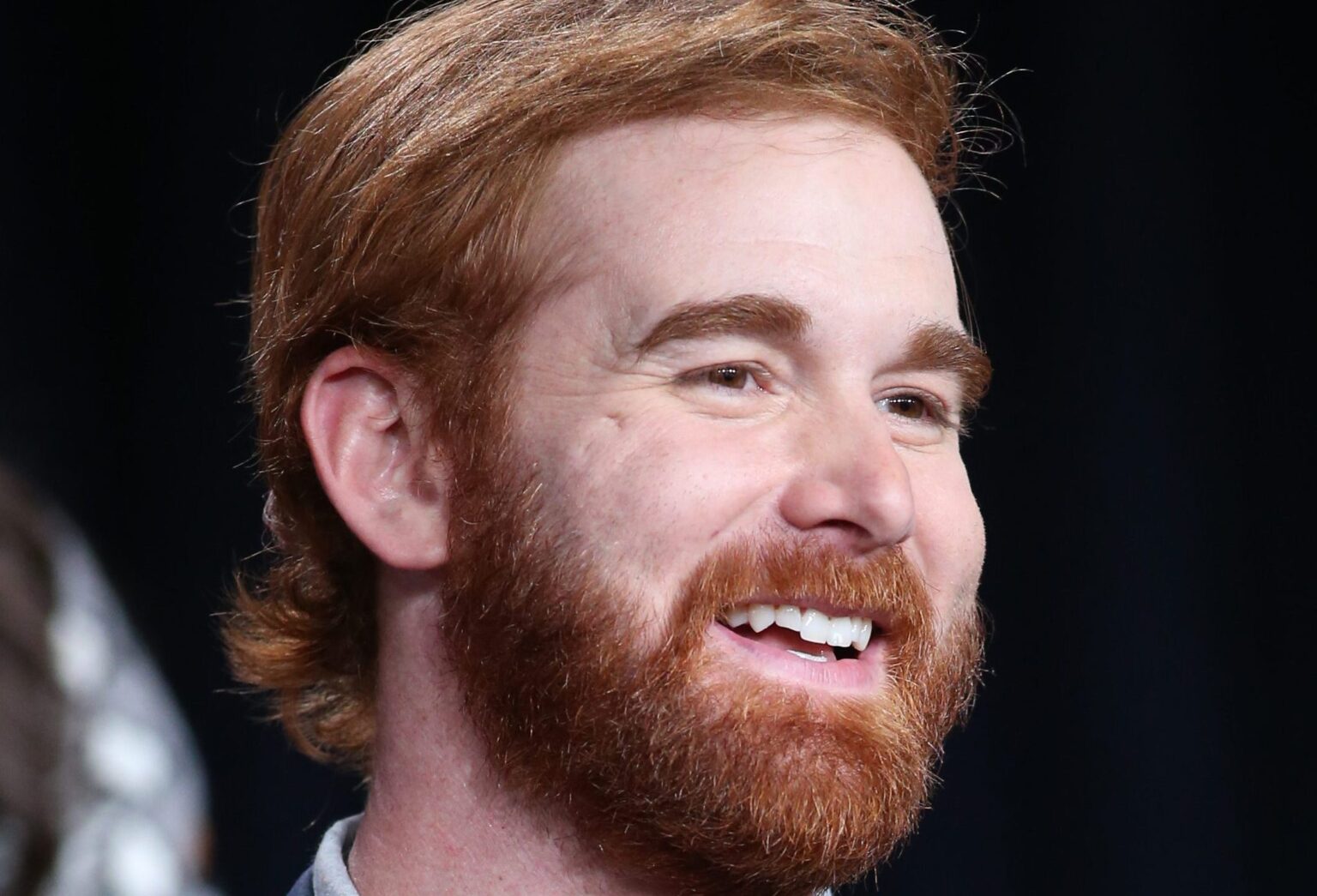 Andrew Santino Net Worth 2023 TV Acres