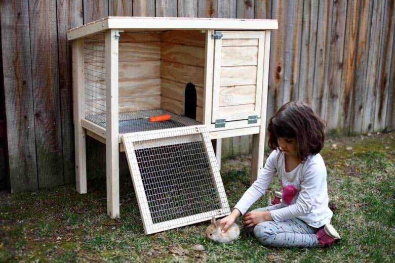 How to Clean an Outdoor Rabbit Hutch - TV Acres