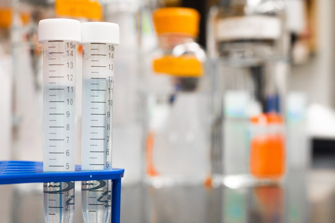 4 Things to Know About Rules and Regulations on Drug Testing in Texas